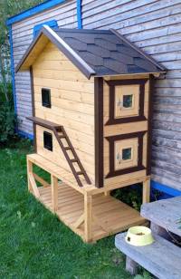 IMG-20240831-WA0043_original